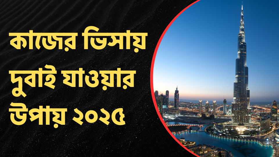 কাজের ভিসায় দুবাই যাওয়ার উপায় ২০২৫